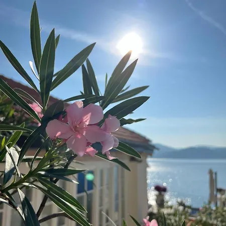 Schwalbenhaus Apartament *